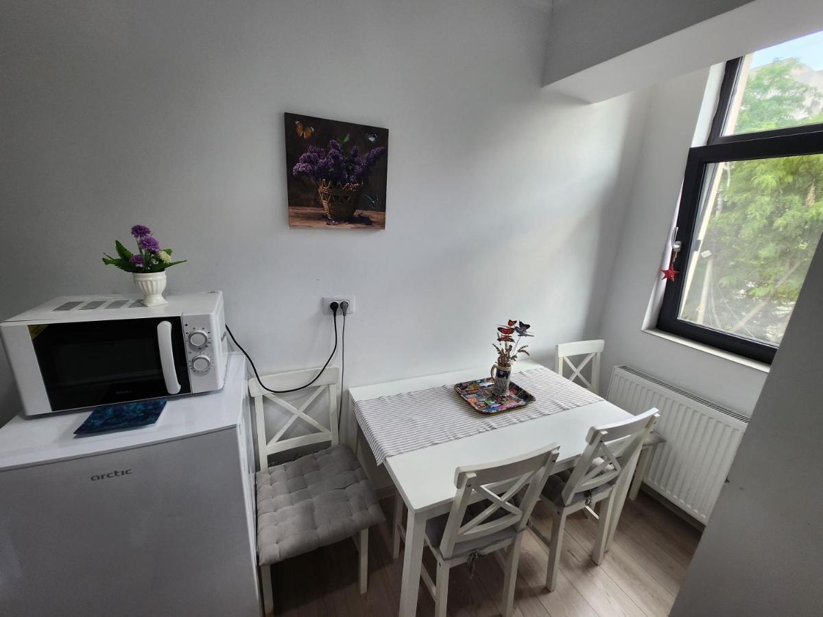 Boutique City Retreats Apartments Iasi Bagian luar foto