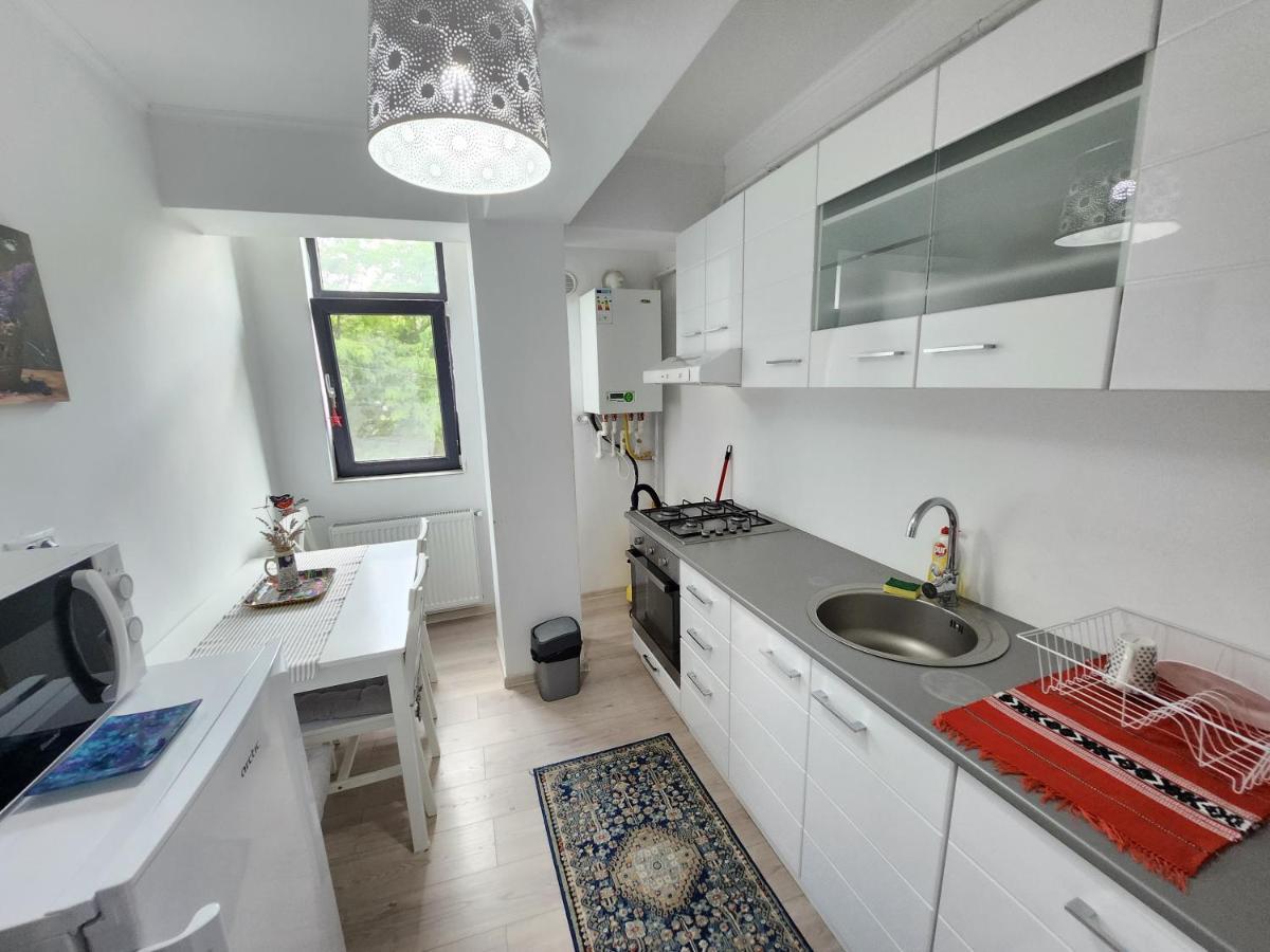 Boutique City Retreats Apartments Iasi Bagian luar foto